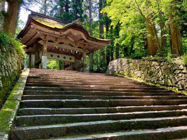 Islands of Japan cruise, from Tokyo