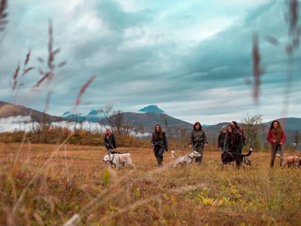Huskies, wilderness and midnight sun in Norway holiday