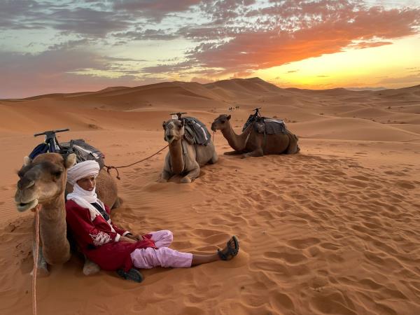 Casablanca to Marrakech tour, Morocco