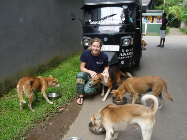 Sri Lanka dog shelter volunteering