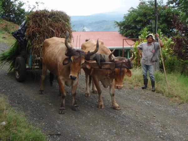 Costa Rica coast to coast hike, bike & kayak holiday