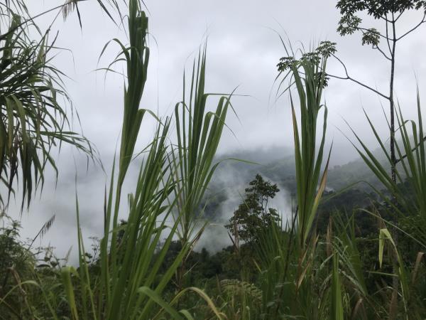Costa Rica coast to coast hike, bike & kayak holiday
