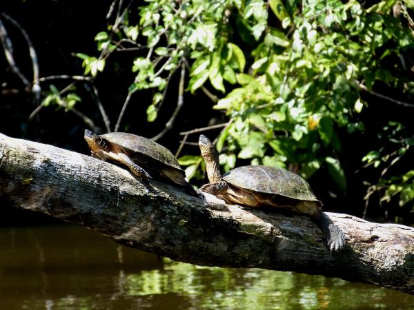 Costa Rica coast to coast hike, bike & kayak holiday