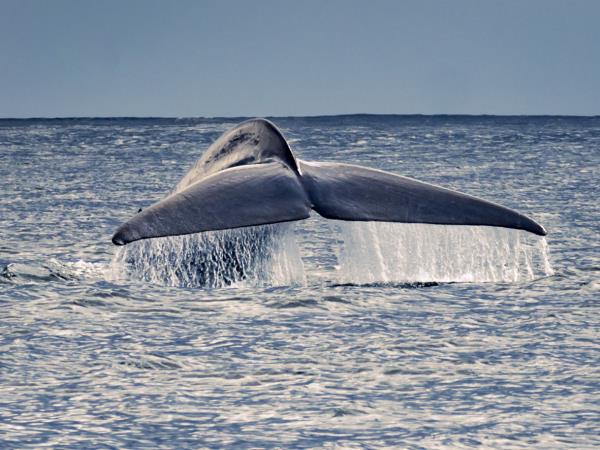 Azores holiday, tailor made