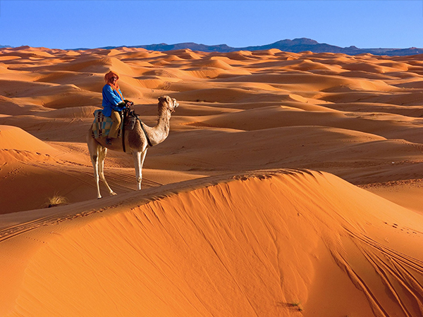 Morocco discovery tour from Casablanca