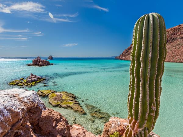 Baja family holiday in Mexico