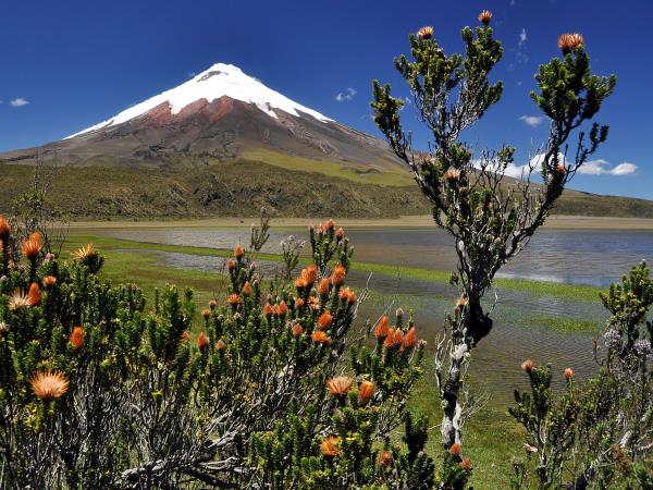 Ecuador highlands tour & Galapagos cruise