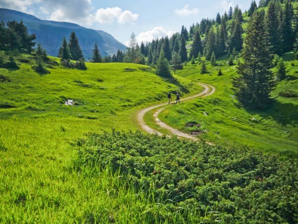 French Alps self guided walking tours