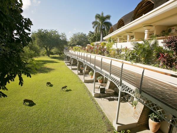 Highlights of Zimbabwe and Botswana, tailor made