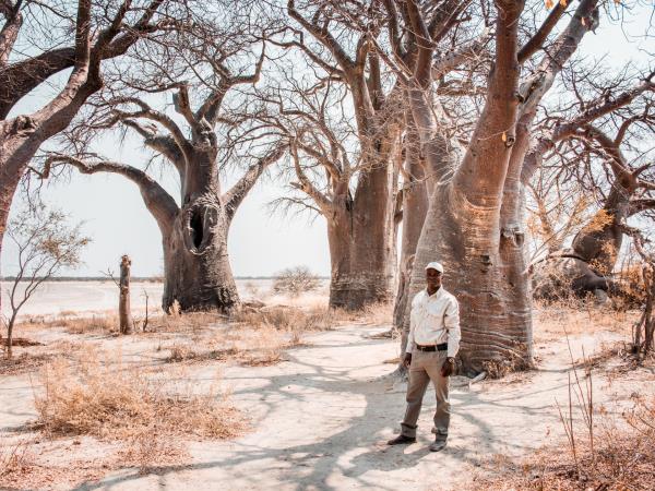 Nxai Pan and Okavango Delta safari, Botswana