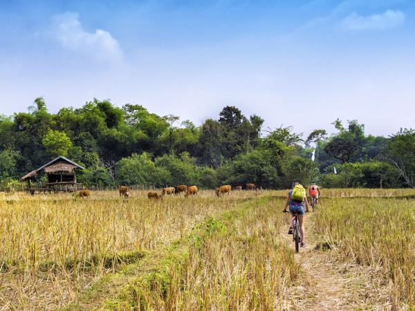 Vietnam to Cambodia cycling holiday