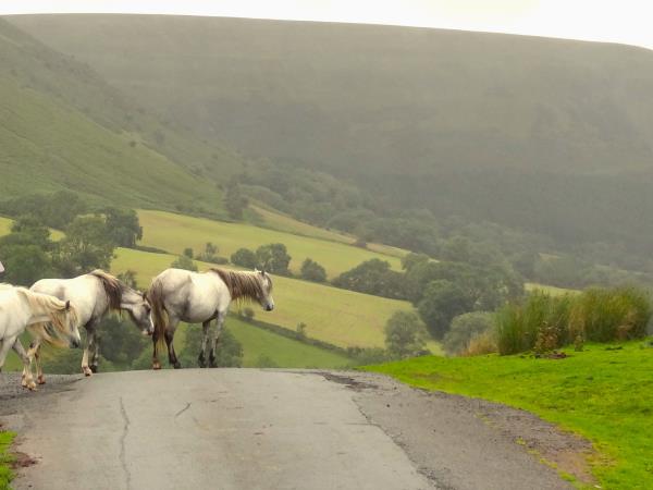 Brecon Beacons cycling holiday, Wales