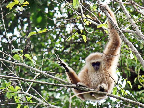 Northeast Thailand holiday, World Heritage sites