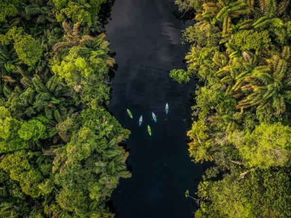 Costa Rica nature and wildlife tour