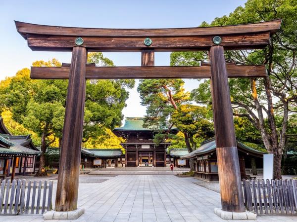 2 week Japan family holiday
