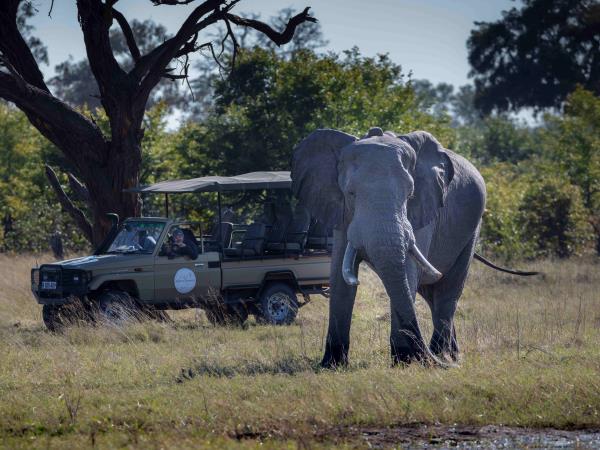 Okavango Delta adventure holiday, Botswana