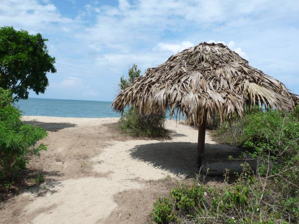 Sri Lanka family holiday, 14 days 