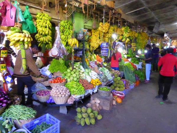 Sri Lanka off the beaten track holiday