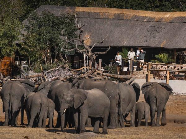 Zimbabwe safari for families with teenagers