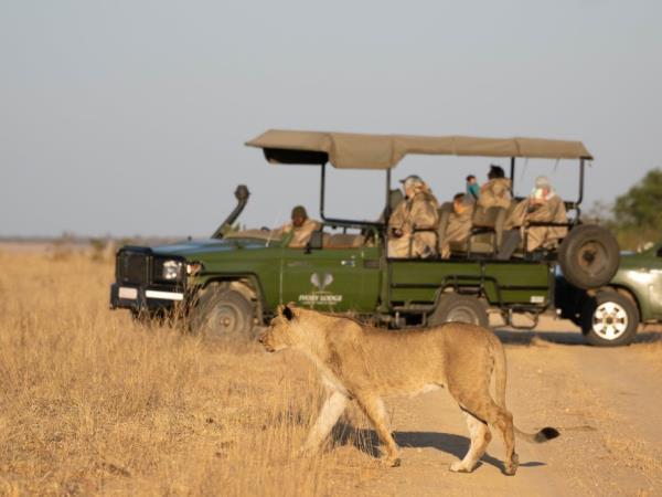 Zimbabwe safari for families with teenagers