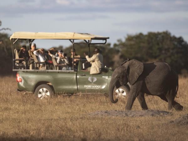 Zimbabwe safari for families with teenagers