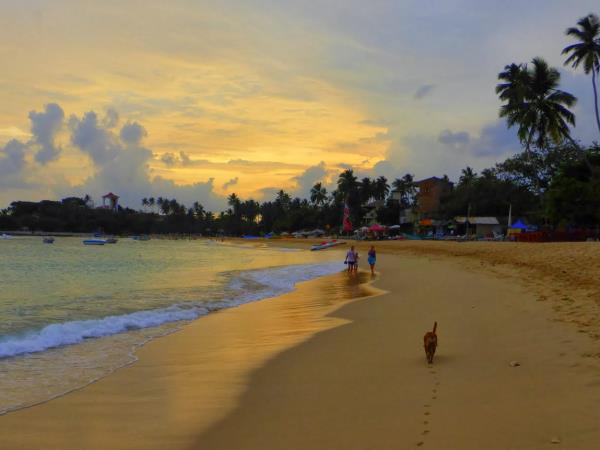 Sri Lanka summer family holiday