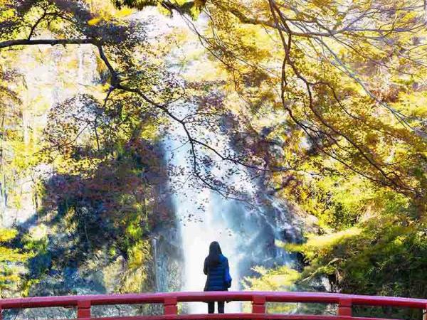 Japan 13 day tour
