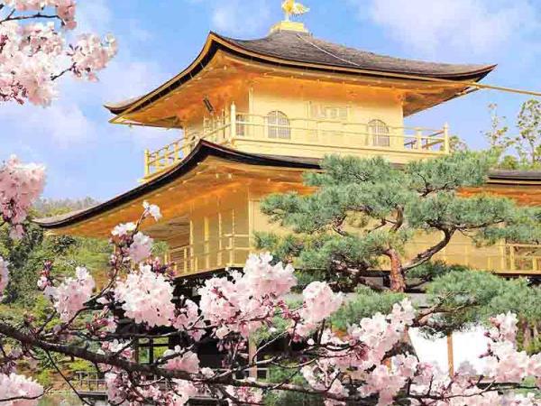 Japan 13 day tour