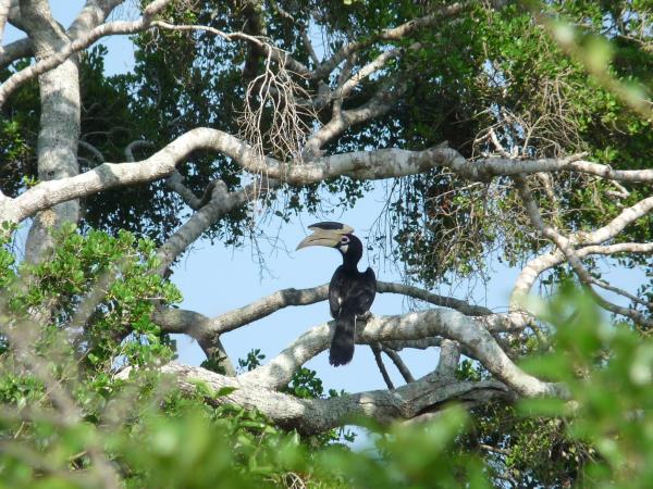 Sri Lanka highlights holiday