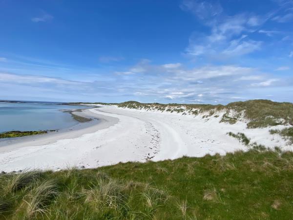 Scottish Hebrides guided wildlife tour