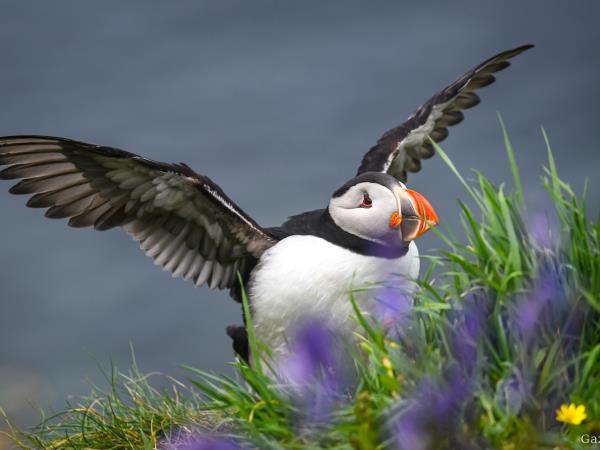 Skye and the Small Isles sailing holiday