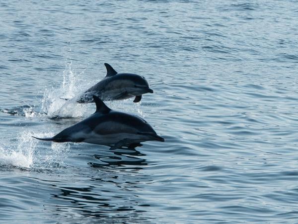 Skye and the Small Isles sailing holiday