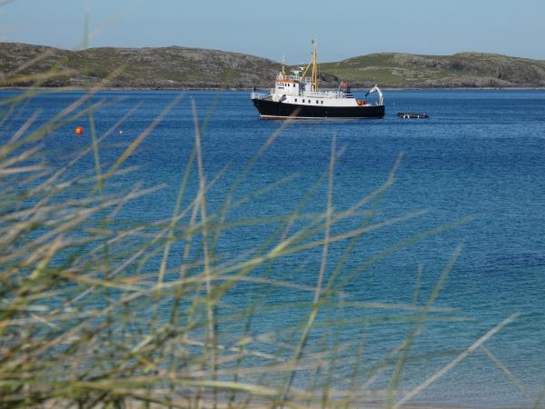 Inner Hebrides wildlife cruise