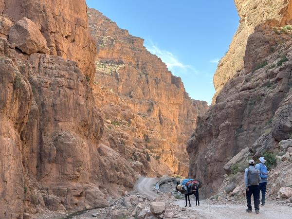 High Atlas Mountains & Sahara desert trek, Morocco