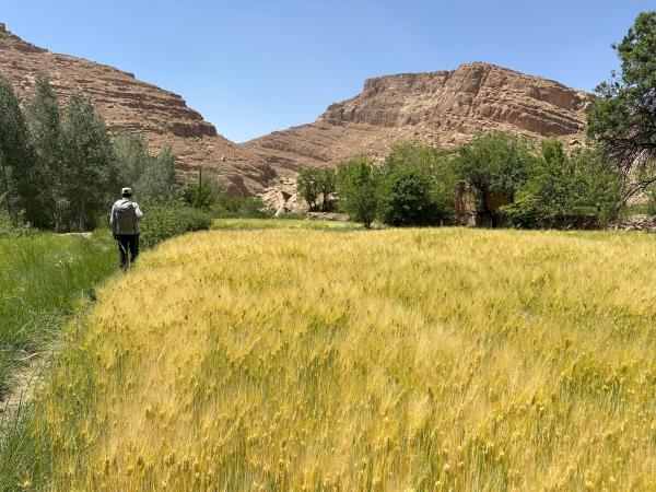 High Atlas Mountains & Sahara desert trek, Morocco