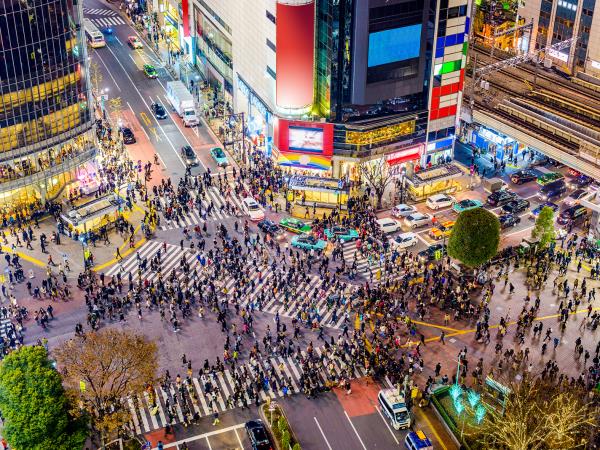 2 week Japan family holiday