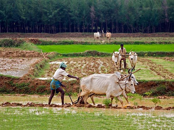 Kerala highlights 14 day tour