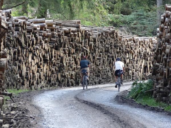 Cambrian Mountains cycling holiday in Wales