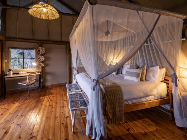 Botswana family safari holiday