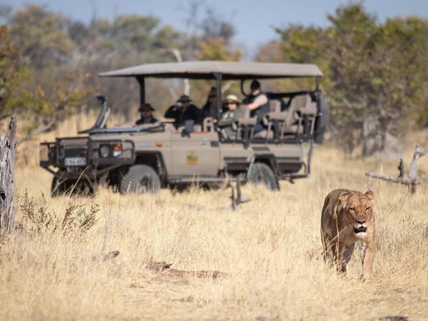 Botswana family safari holiday