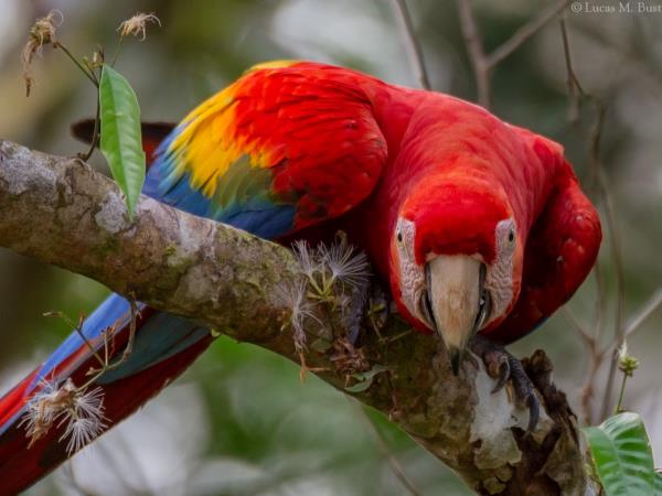 Machu Picchu & the Amazon holiday, Peru