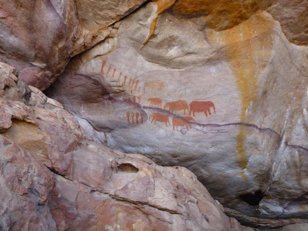 Northern Namibia and Botswana self drive safari
