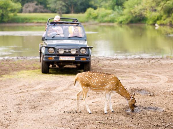 India experience 13 day tour