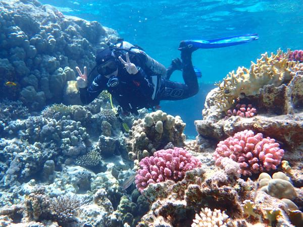 Red Sea diving holidays 