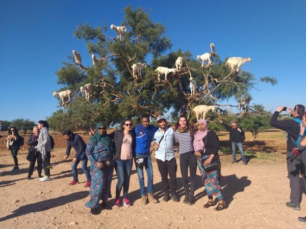 Morocco grand tour, tailor made