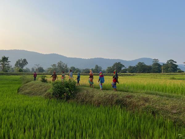 Holidays to Odisha and Bastar, India 