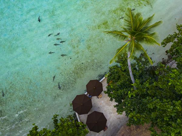 Southern Raja Ampat snorkelling holiday, Indonesia