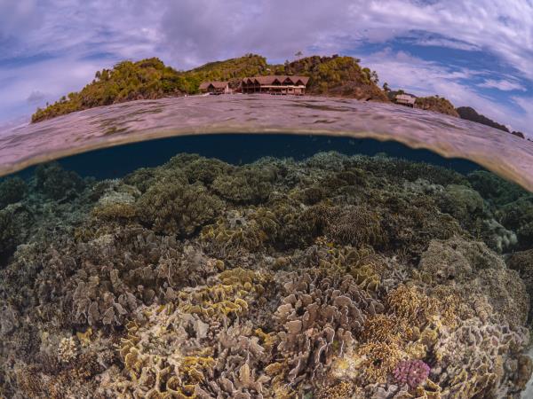 Southern Raja Ampat snorkelling holiday, Indonesia