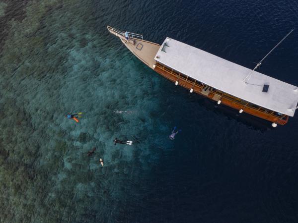Raja Ampat & Wakatobi snorkeling holiday