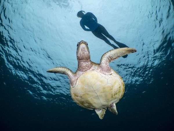 Raja Ampat & Wakatobi snorkeling holiday
